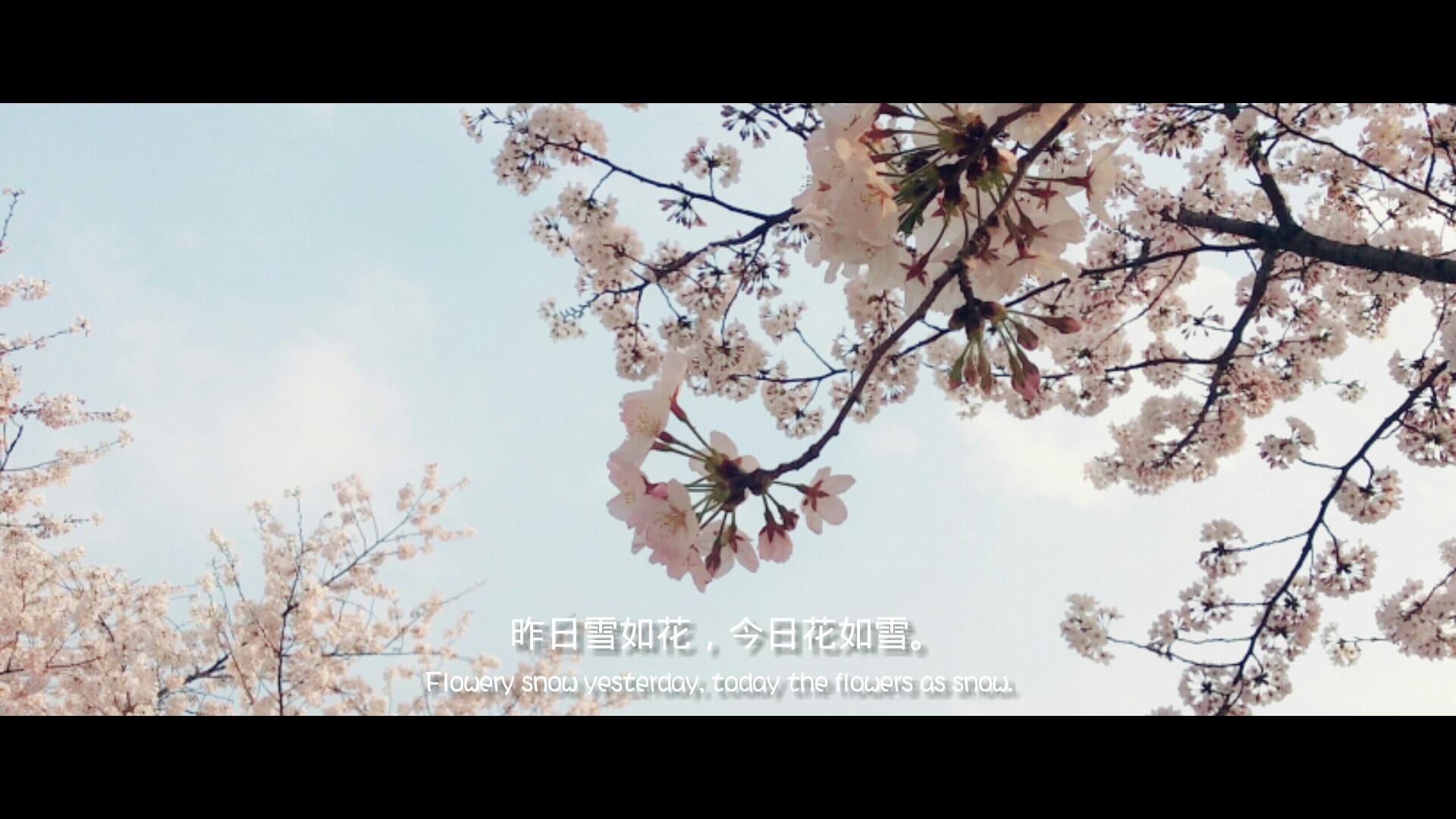 黄色动漫